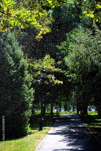 Obraz na płótnie Sunny day in the park. Water droplets light by sun on green foliage background. Park pathway in perspective. w salonie