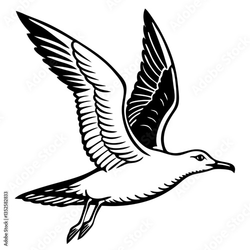 a seagull soaring gracefully through the air, captured in a black and white illustration. It is shown in mid-flight, with its wings spread wide vector illustration