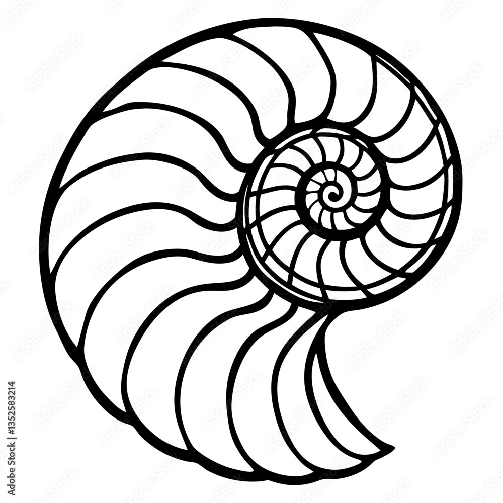 an exquisite nautilus shell pattern, elegantly rendered in black and white. The intricate spiral design showcases the wonders of nature's architecture. vector illustration an exquisite nautilus shell pattern, elegantly rendered in black and white. The intricate spiral design showcases the wonders of nature's architecture. vector illustration