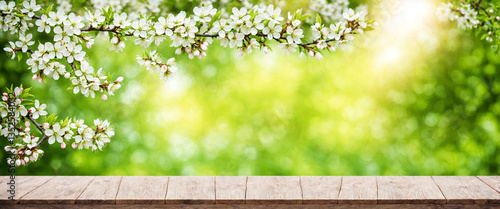 spring blossoms on wooden t...