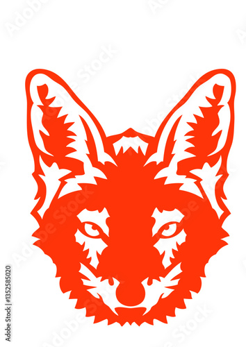 chacal animal sauvage