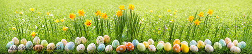 easter eggs and daffodils i...