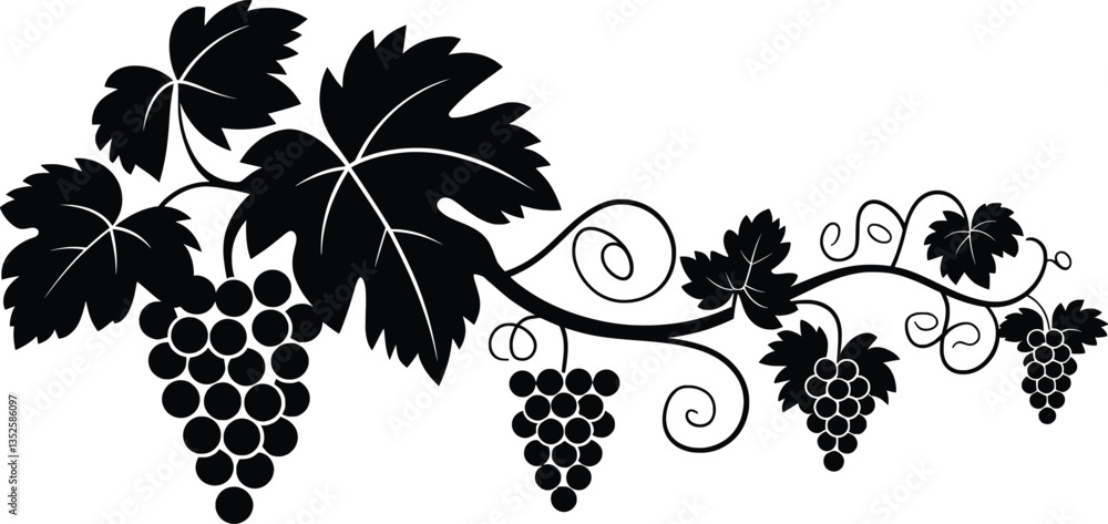 Fototapeta premium Vineyard Grapevine Vector Silhouette, Grape Vines Decorative Art.