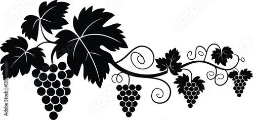 Vineyard Grapevine Vector Silhouette, Grape Vines Decorative Art.