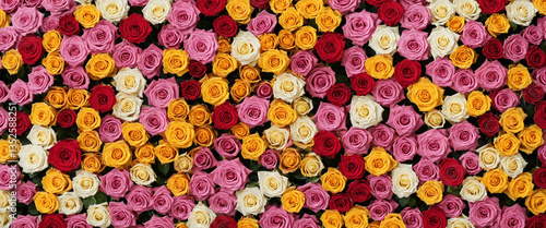 a dense arrangement of mult...