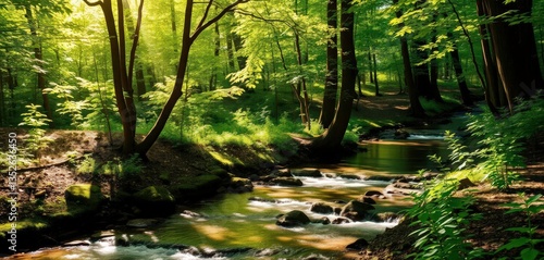 Wallpaper Mural Serene forest stream, sunlight dappling leaves, meditation, relaxation Torontodigital.ca
