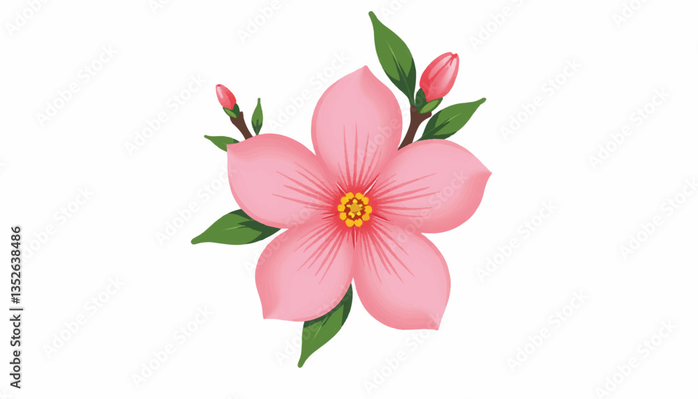 Fototapeta premium Single cherry blossom flower viewed from above, vibrant beauty