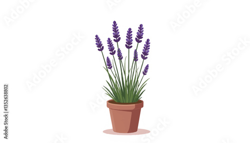 Blooming lavender plant in earthy pot on white background, tranquility