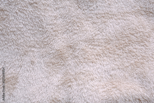 Off-White Polar Fleece Fabric. Layout with Naturally White Artificial Fur. Background with a Fur Structure. Texture of Artificial Teddy Bear Fur.