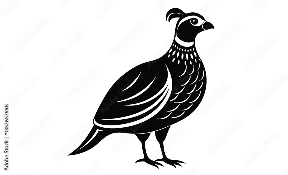 Bobwhite quail vector design silhouette, quail bird silhouette vector illustration design Bobwhite quail vector design silhouette, quail bird silhouette vector illustration design