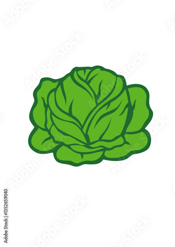 chou choux legume dessin