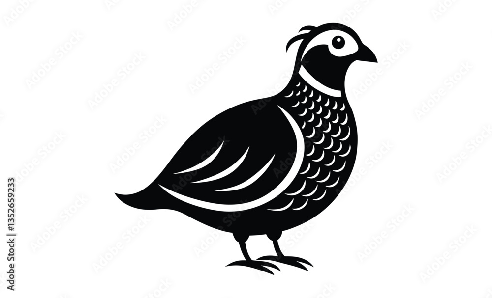 Bobwhite quail vector design silhouette, quail bird silhouette vector illustration design Bobwhite quail vector design silhouette, quail bird silhouette vector illustration design