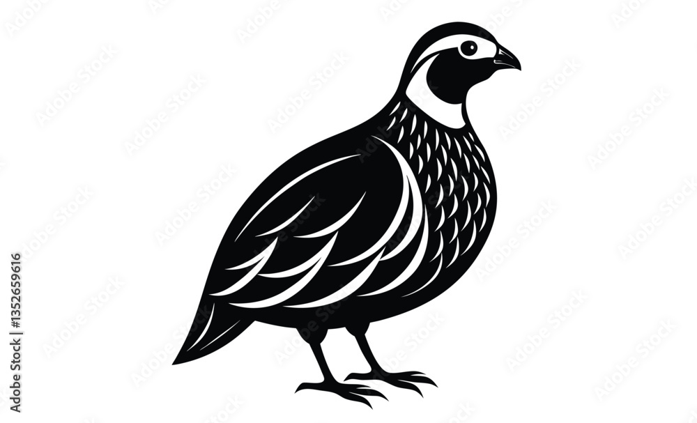 Bobwhite quail vector design silhouette, quail bird silhouette vector illustration design Bobwhite quail vector design silhouette, quail bird silhouette vector illustration design