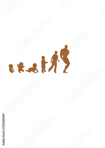 Evolution bodybuilding musculation humain adulte foetus muscu pose