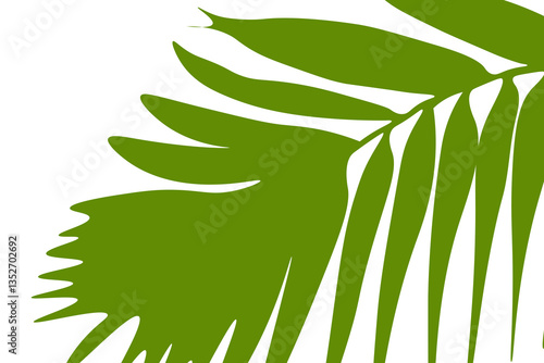 Flat Vector Illustration of a Palm Leaf