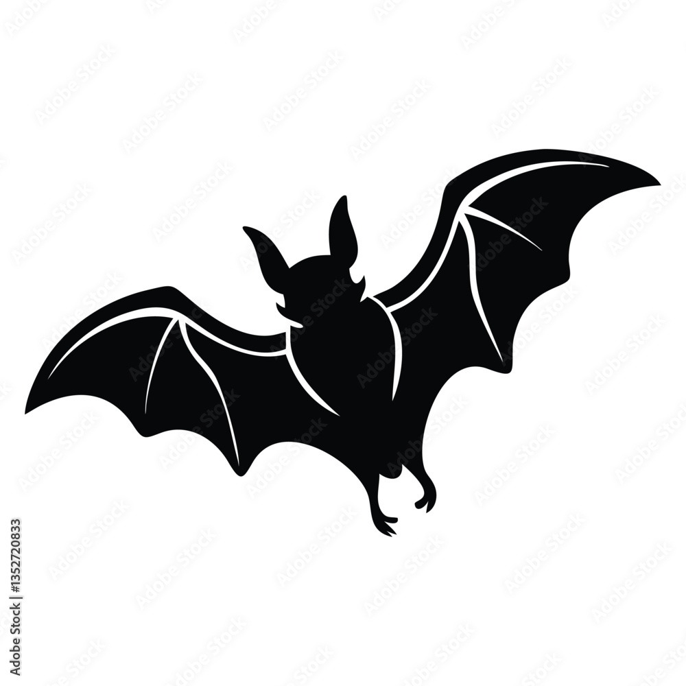 Fototapeta premium bat vector illustration