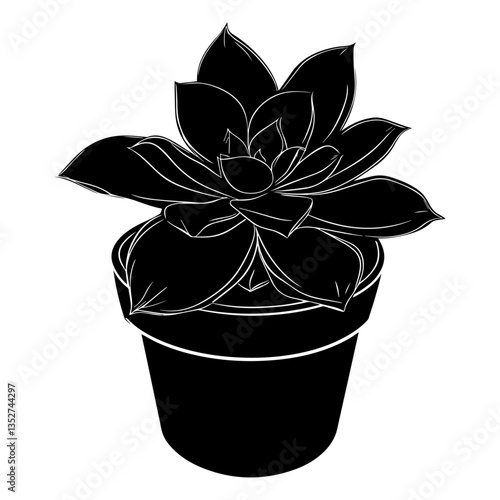 silhouette  of a potted succulent