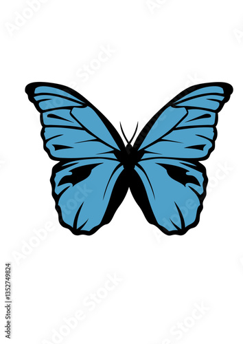 papillon amazonie dessin