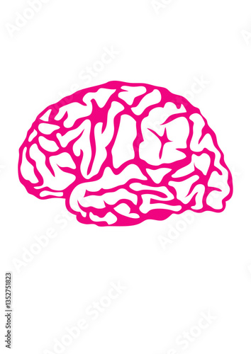cerveau intelligent cervelle dessin