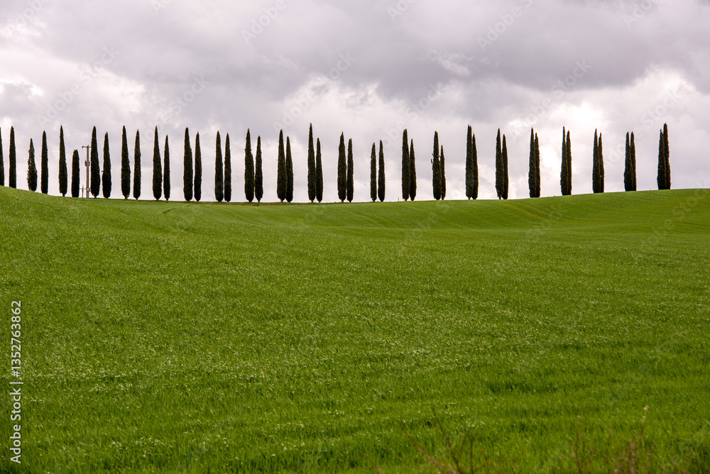 Fototapeta premium Crete Senesi, Siena, Toscana, Italia, colline toscane