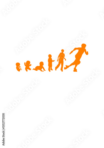 evolution roller derby femme bebe foetus sport