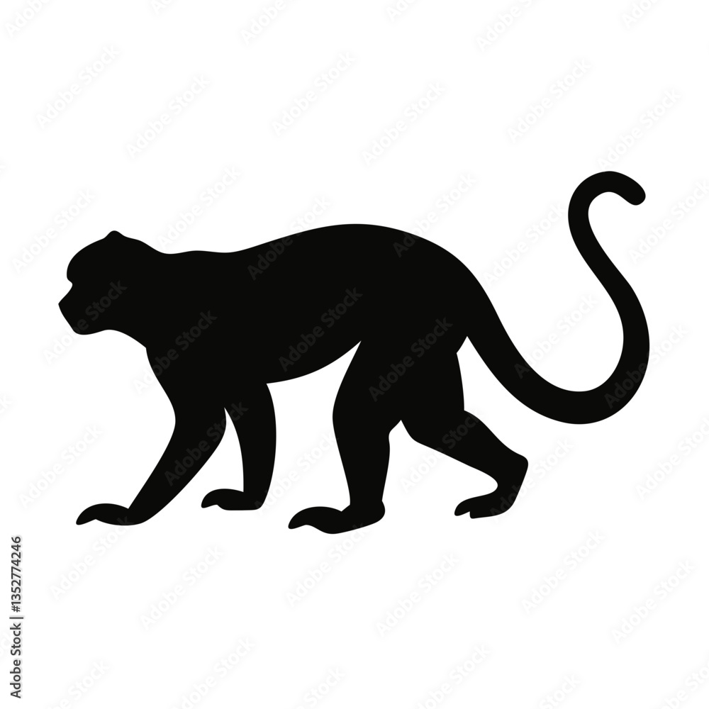 Obraz premium tamarin monkey silhouette: perfect for wildlife projects, tropical themes, educational materials, and eco-friendly branding