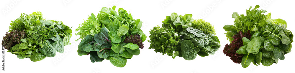 Assorted green leafy vegetables lettuce, spinach, arugula and other fresh salad greens. Assorted green leafy vegetables lettuce, spinach, arugula and other fresh salad greens.
