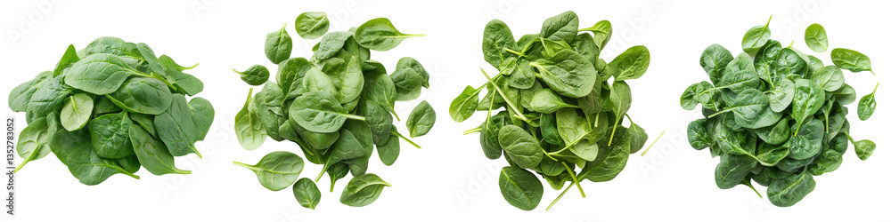 Piles of vibrant fresh spinach leaves ready to eat, showcasing nutritious greenery awaiting culinary preparation. Piles of vibrant fresh spinach leaves ready to eat, showcasing nutritious greenery awaiting culinary preparation.