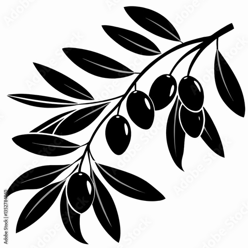 Olive branch with black olives and leaves on a white background  