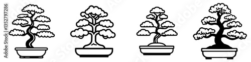 Different styles of bonsai trees displayed in artistic sketches showcasing nature's beauty and artistry