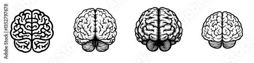 Detailed illustrations of human brain in different orientations and styles showcasing complexity and structure