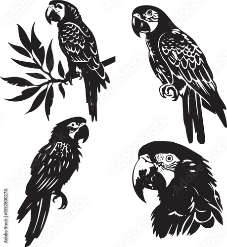Silhouette art vector