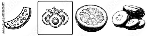 Fresh fruit illustrations showcasing a variety of shapes and textures from a bountiful harvest