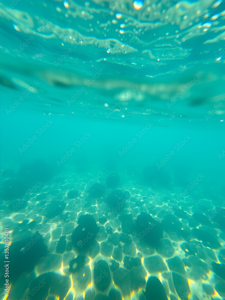 C12H22O11 C12H22O11