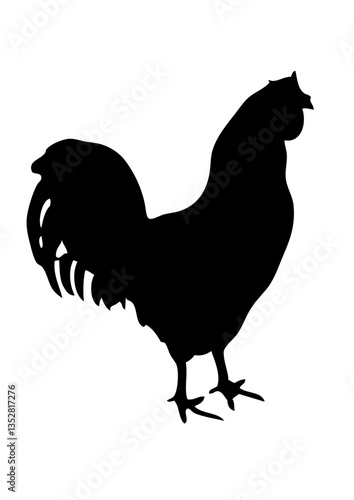 coq dessin