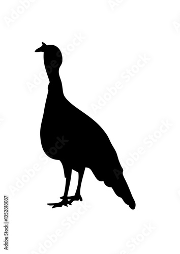 dinde silhouette dessin