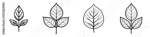 Different types of hand-drawn leaves arranged in a row on a white background in a minimalist style