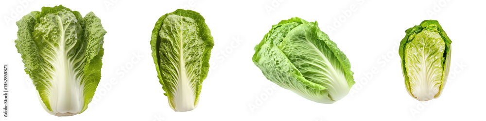 Four green Napa cabbages in different sizes show crisp leaves and delicate veins. Four green Napa cabbages in different sizes show crisp leaves and delicate veins.
