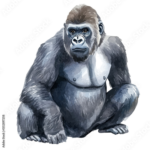 Gorilla, watercolor vector, isolated on a white background.