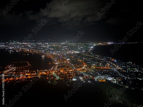 Canvas Print miami skyline at night