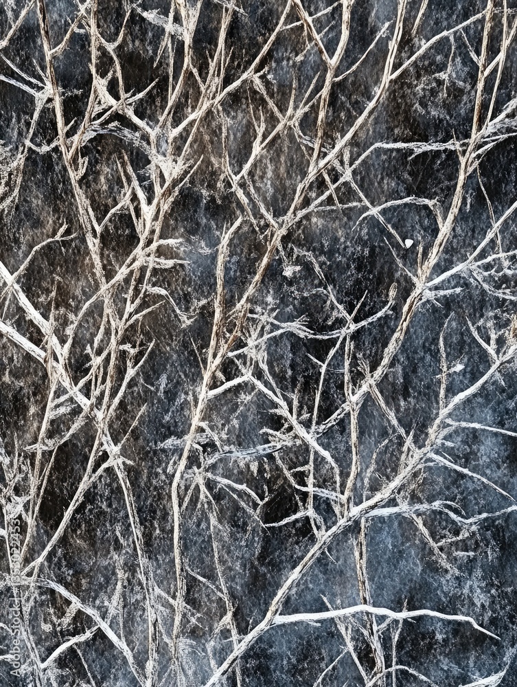 Winter Branches for Dark Background Texture. Winter Branches for Dark Background Texture.