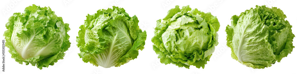 Four heads of butter lettuce featuring fresh green leaves texture a verdant display of healthy produce ready to be used in salads. Four heads of butter lettuce featuring fresh green leaves texture a verdant display of healthy produce ready to be used in salads.