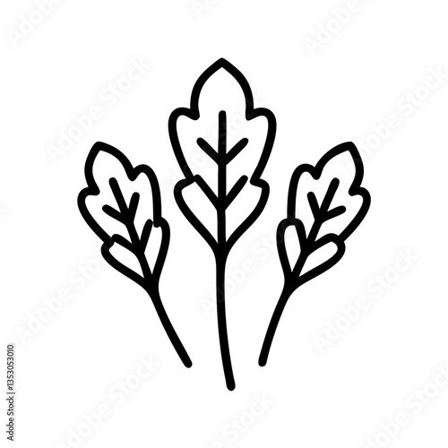 Rucola or arugula outline icon, isolated vector illustration