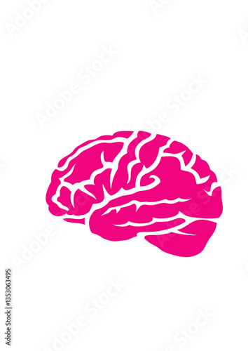cerveau cervelle dessin
