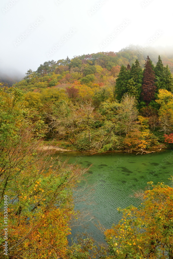 小国の紅葉(山形県) 小国の紅葉(山形県)