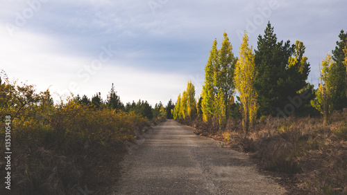 Foto New zealand alexandra town early autumn empty deserted road overgrown with trees
