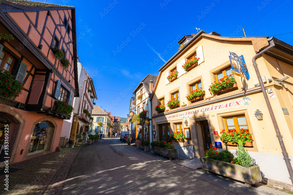Fototapeta premium Eguisheim is a medieval village in France’s Alsace wine region, France