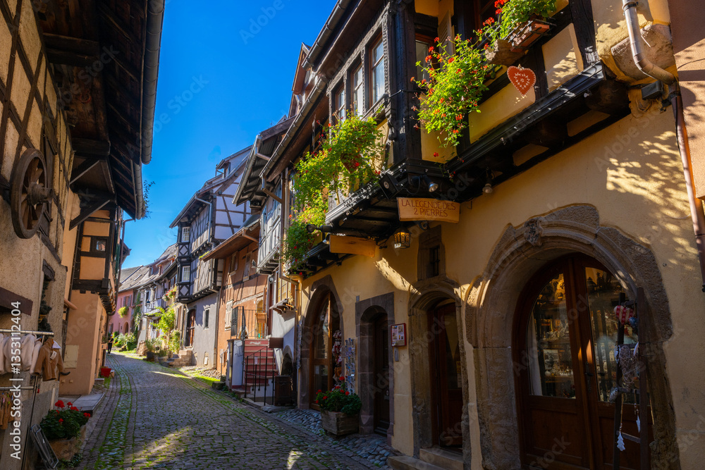 Fototapeta premium Eguisheim is a medieval village in France’s Alsace wine region, France