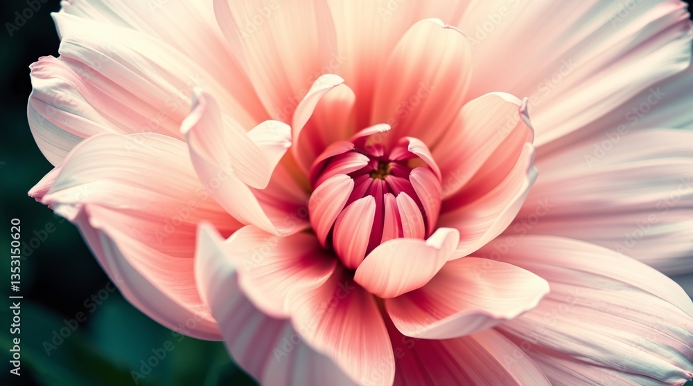 Fototapeta premium Glitch Art Bloom: Pastel Flower with Fragmented Petals in Digital Distortion