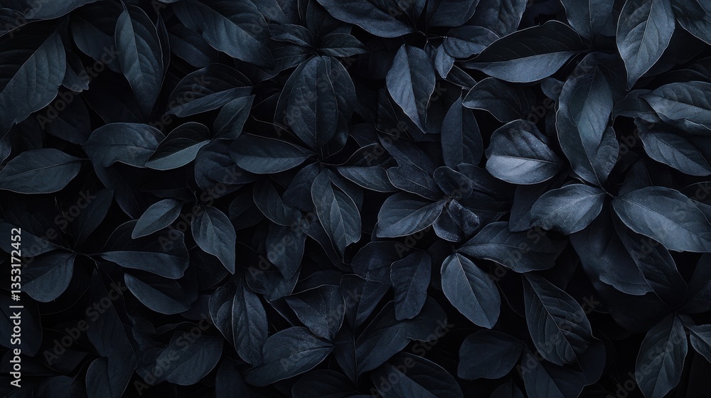 Black Leaf Shadow Overlay - Dark shadow from natural leaves. Black Leaf Shadow Overlay - Dark shadow from natural leaves.